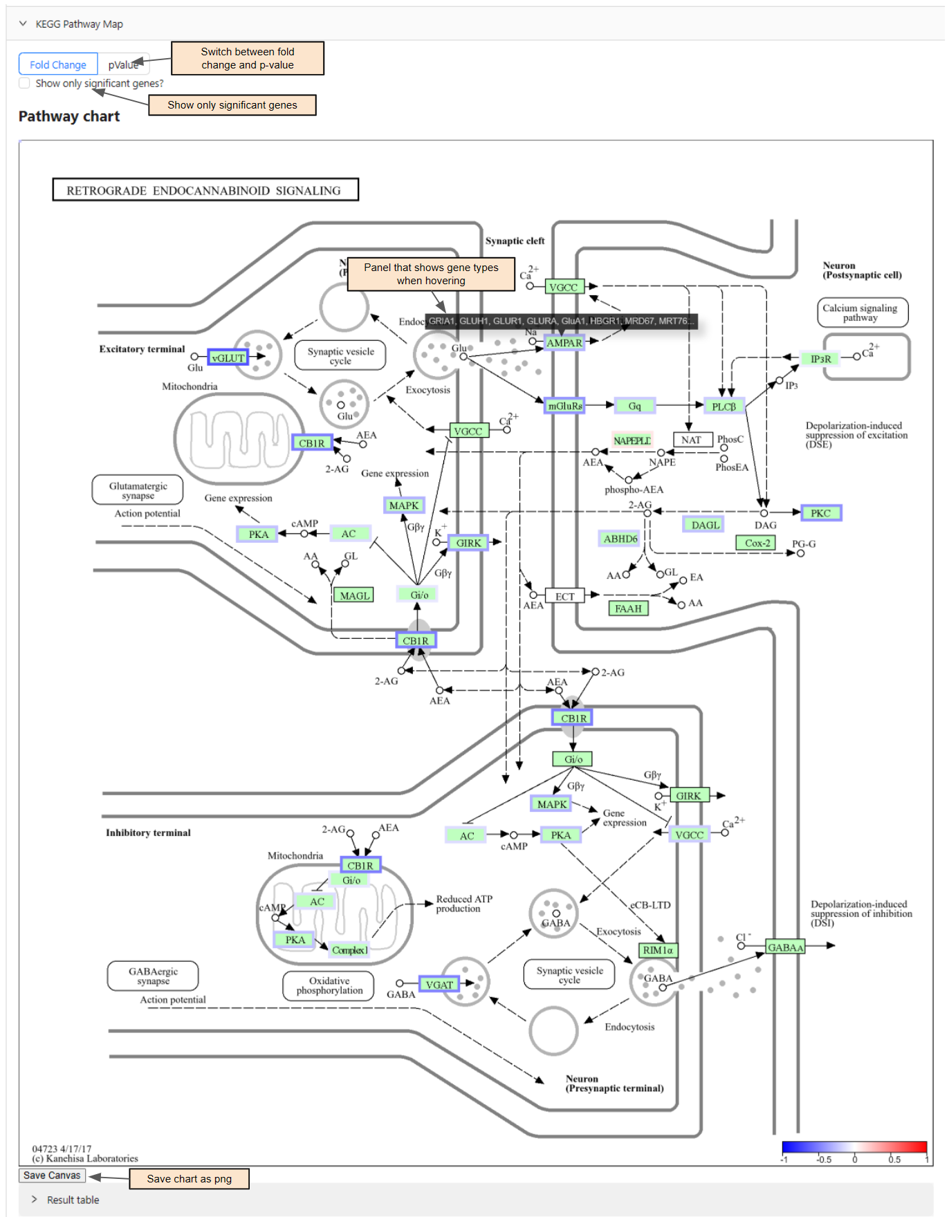 Visual of KEGG Pathway Map