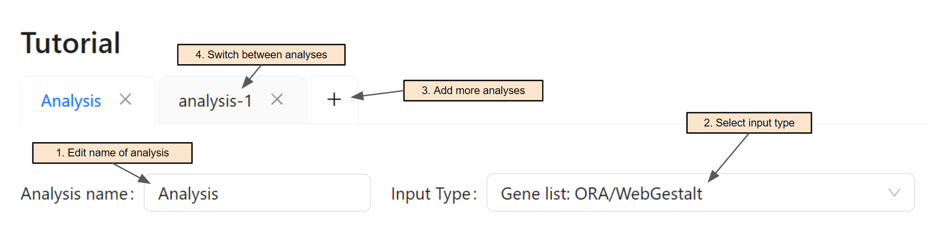 Visual of Steps 1-4