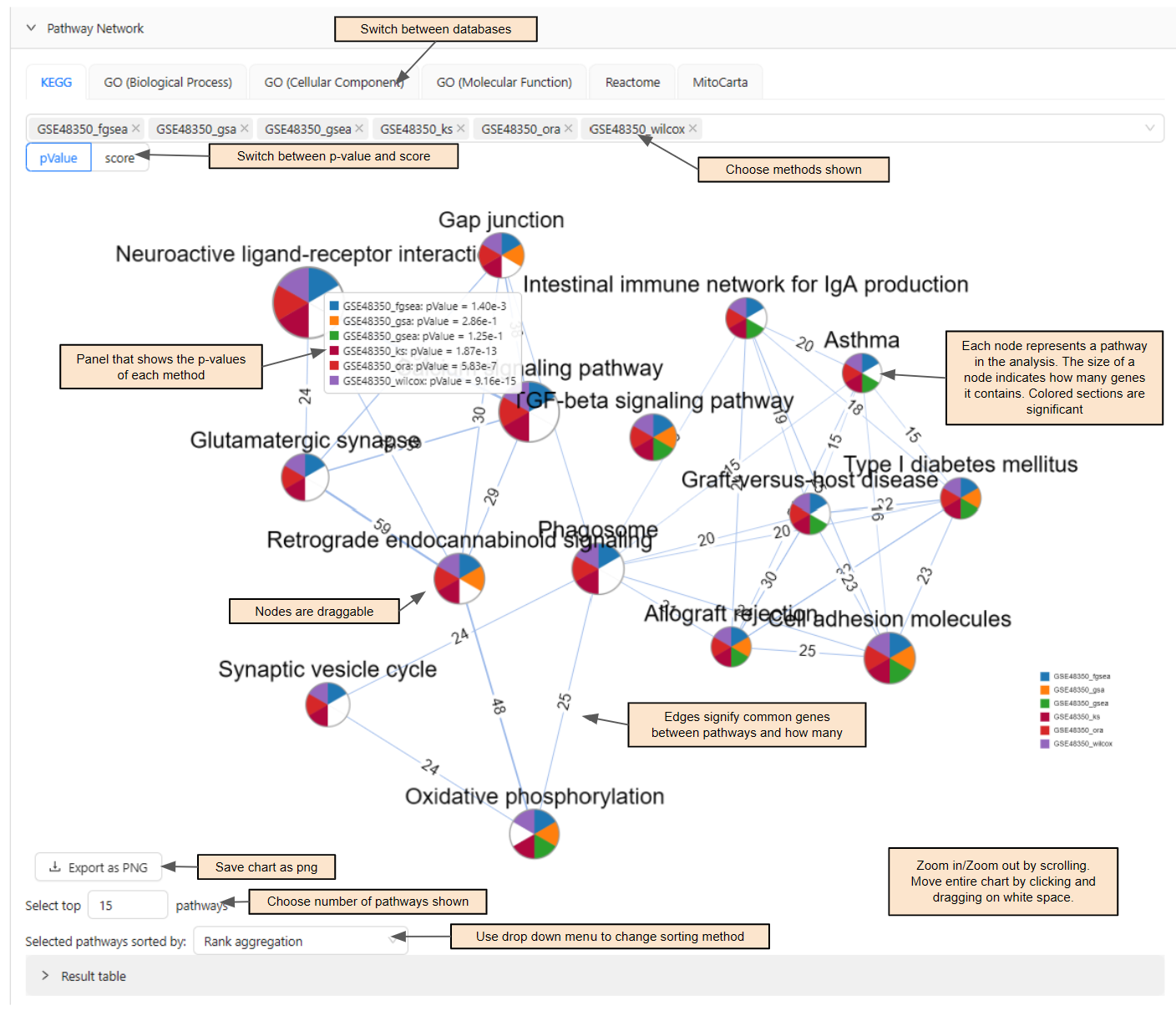 Visual of Pathway Network