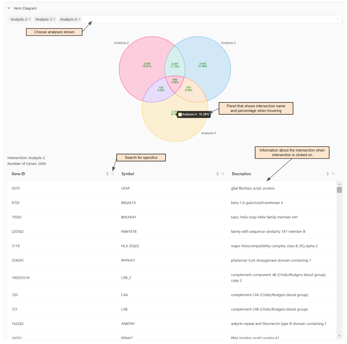 Visual of Venn Diagram