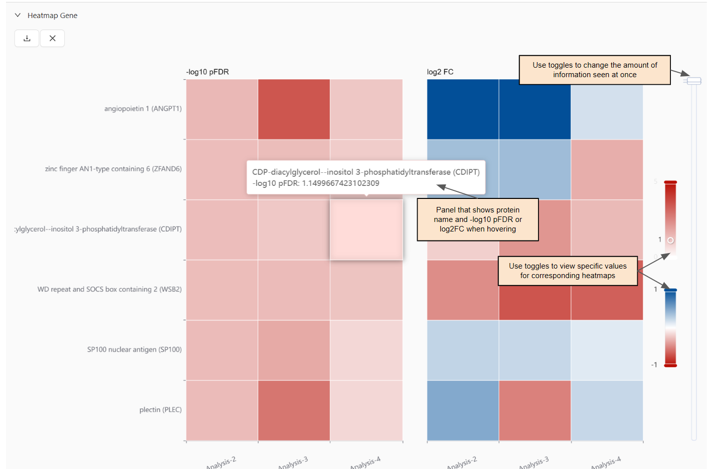 Visual of Heatmap Gene