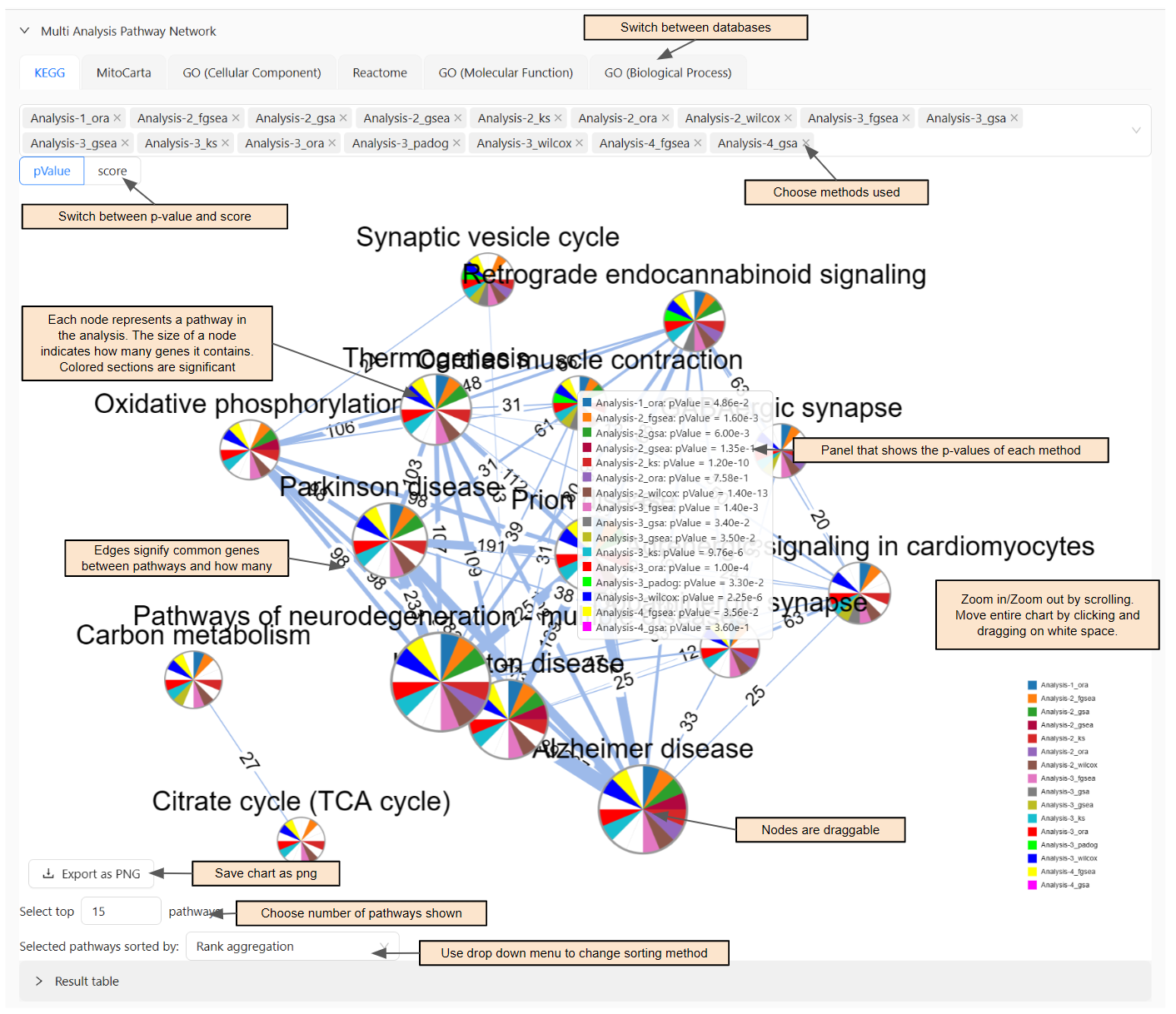 Visual of Multi Analysis Pathway Network